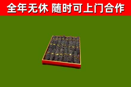 伊犁州回收海参